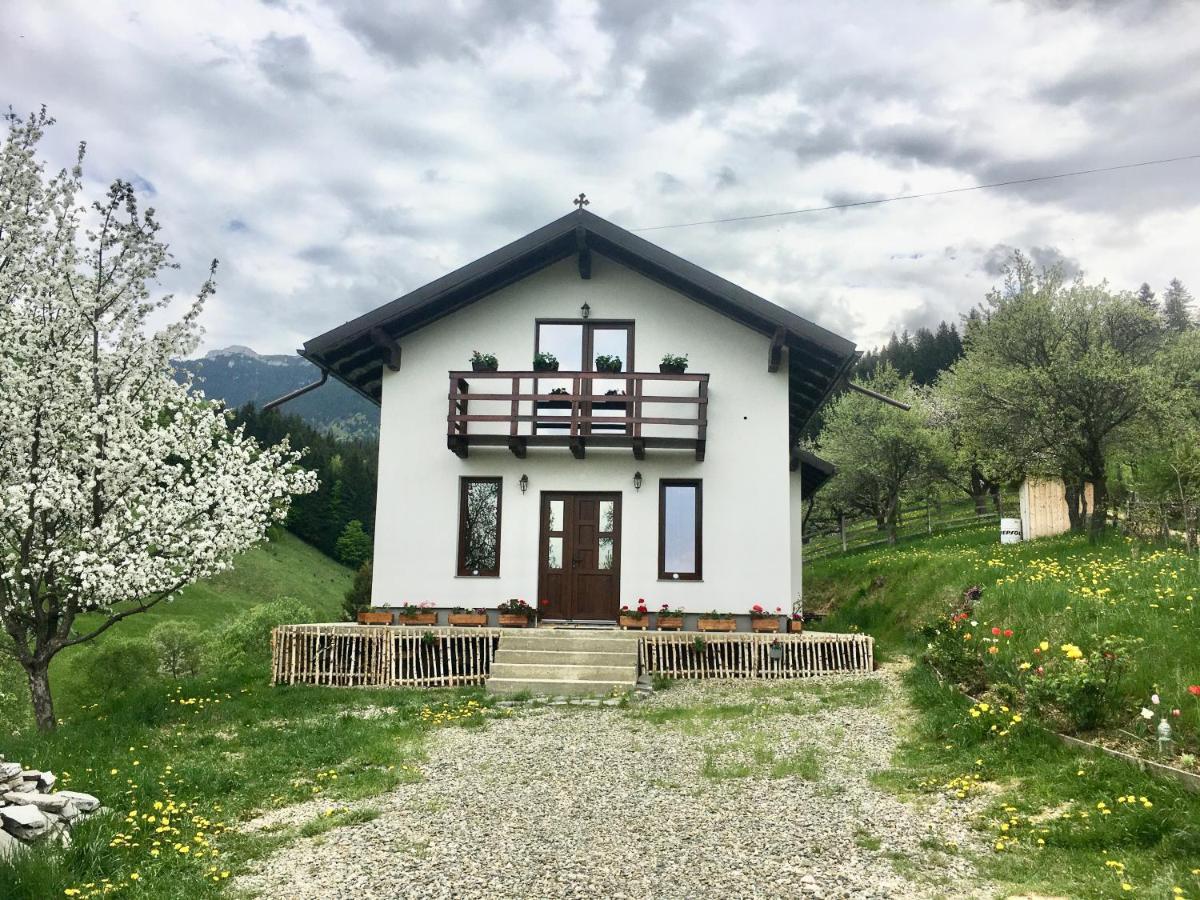 La Casuta Villa Бран Екстериор снимка