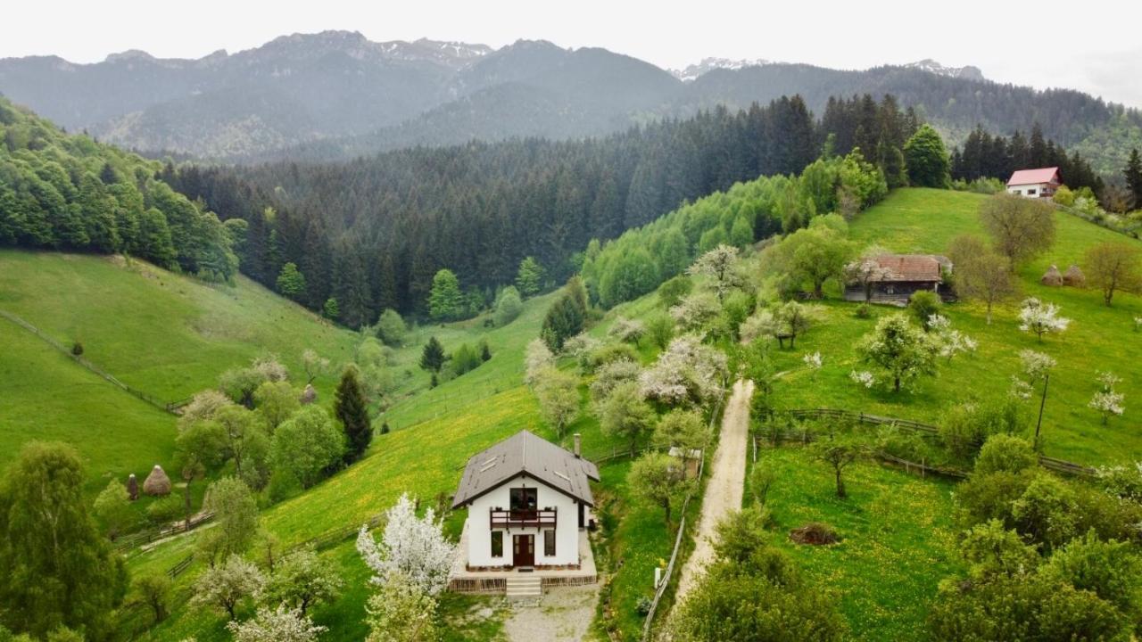 La Casuta Villa Бран Екстериор снимка