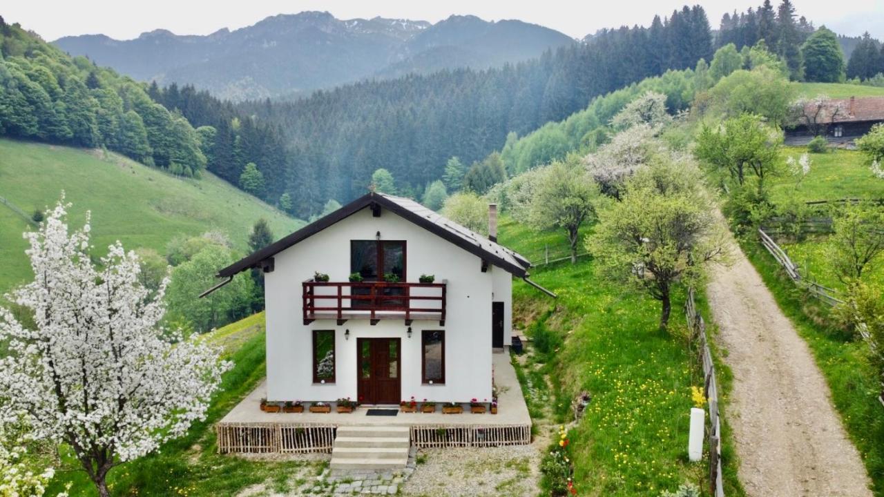 La Casuta Villa Бран Екстериор снимка