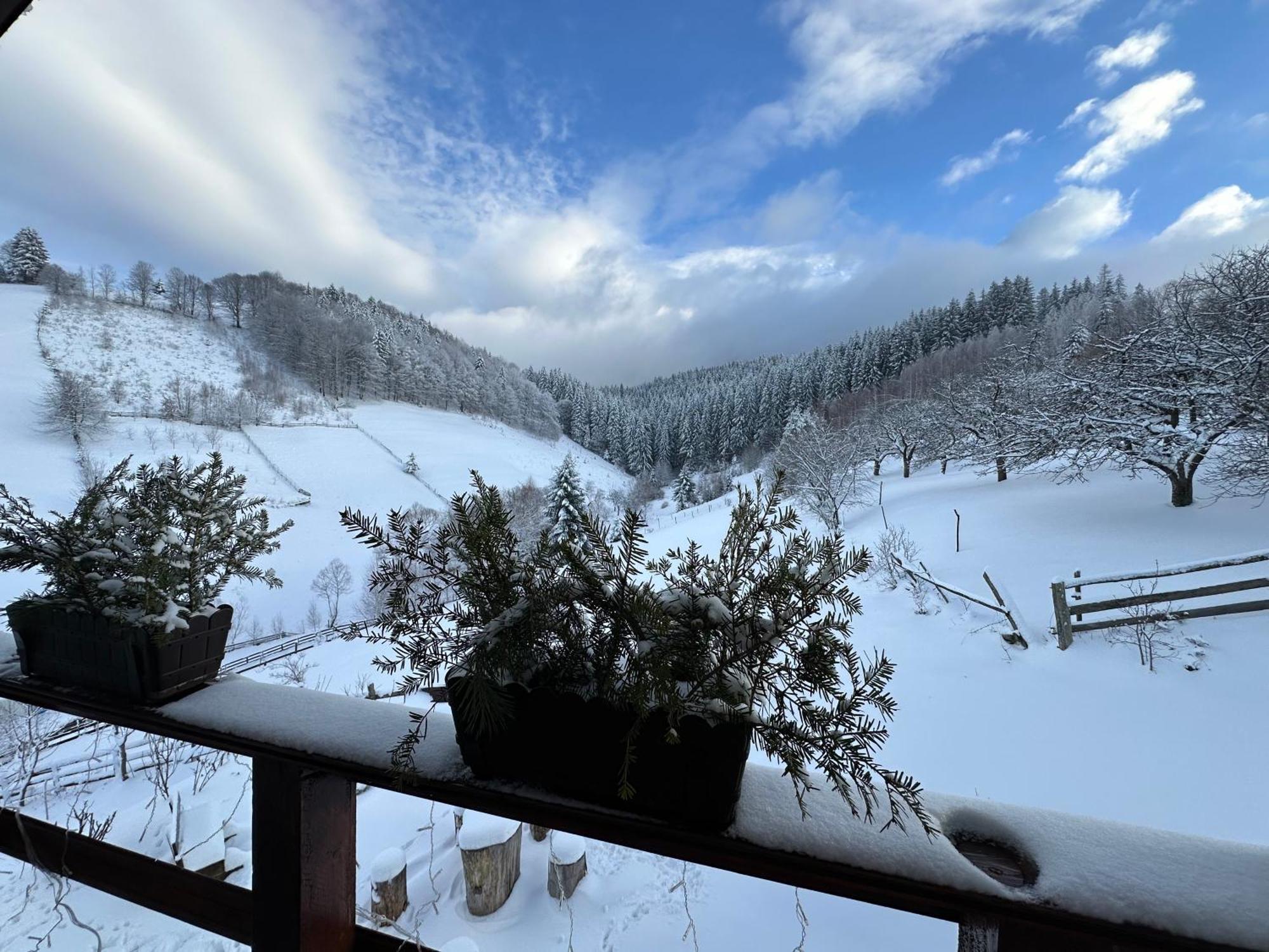 La Casuta Villa Бран Екстериор снимка
